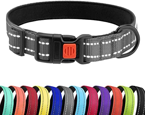 Reflective Dog Collar, Quick-Release Buckle (Grey, 12-16 Inch)