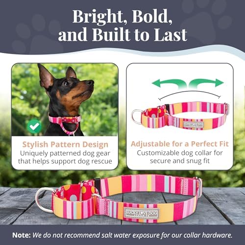 Lucky Love Dog Martingale Collar for Medium Dogs No Slip – Molly, Medium