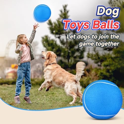 HETOO Tennis Balls for Dogs, Large Dog Toys, Herding Ball, 9.5 Inch