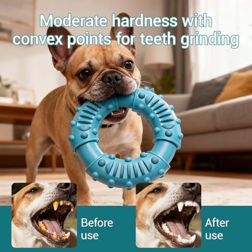 Natural Rubber Indestructible Dog Chew Ring Toys, Interactive Dog Toys for Aggressive Chewers,Dental Teething Training Toys with Textured Nodules, Durable Pet Dog Toy for Boredom (Blue)