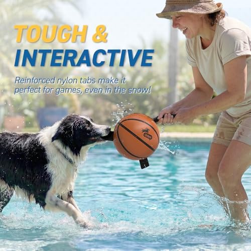 QDAN Dog Basketball Toys, Dog Balls with Straps for Tug of War, 6 Inch | Dog Water Toy Pool Toys for Small Medium Dogs, <60 lbs Puppy Toys, Training Herding Balls for Outdoor, Puppy Birthday Gifts