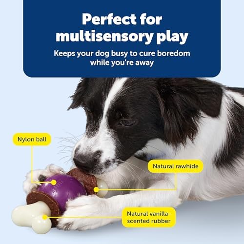 PetSafe Busy Buddy Bouncy Bone Treat Holding Dog Chew Toy, Medium