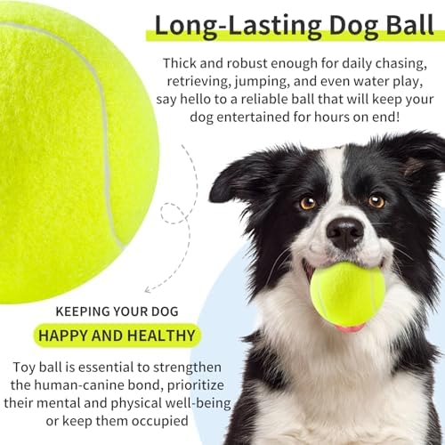 susu & wuwu Large Tennis Ball for Dogs 4 Inch Big Tennis Ball for Dog,Outdoor Play Toy for Small, Medium,Large Dogs Pet Birthday Gift (2 Pack)