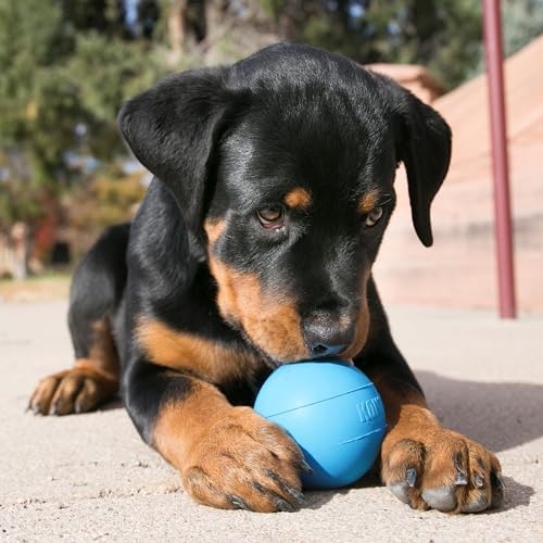 KONG Puppy Ball with Hole, Teething Toy, for Medium/Large Puppies, Blue