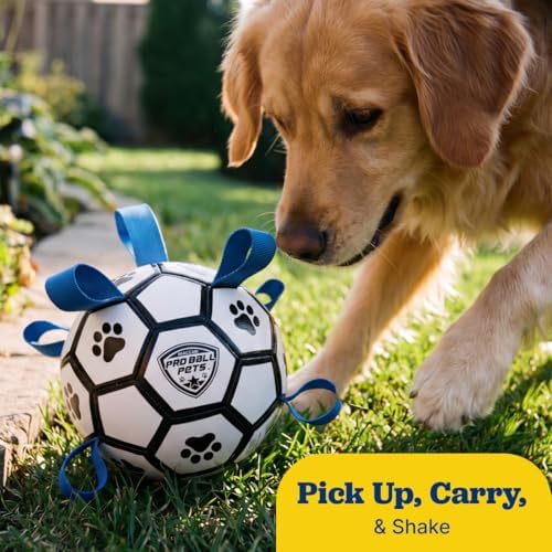 Maccabi Interactive Dog Soccer Ball for Dogs, 6” with Straps & Grab Tabs, Floats on Water, Fetch & Training Toy for Small/Medium Dogs, Herding Breeds, Waterproof Non-Toxic – ProBall Pets – White Blue