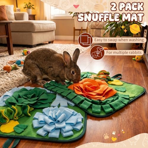 Yinkin 2 Pcs Rabbit Foraging Snuffle Mat for Small Animals Puzzle Toys Funny Interactive Nosework Feeding Mat for Bunny Hamsters Guinea Pigs Ferrets Chinchillas (17.7 x 17.7 Inches,Modern Styles)