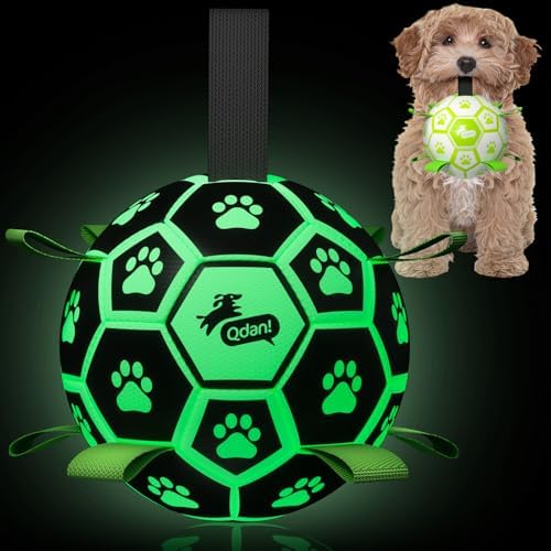 QDAN Glow in The Dark Dog Balls, Soccer Balls for Dogs with Straps, 6 Inch