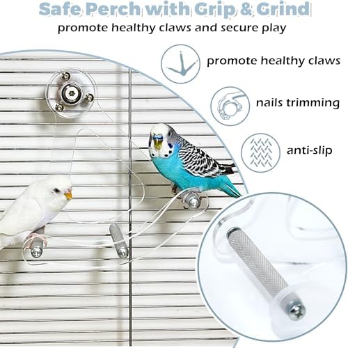 Bite-Resistant Acrylic Rocking Bird Nail Trimming Perch Stand