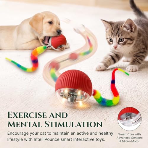 2PCS Interactive Cat Toy Rolling Ball Chewie Viral Dog Ball with Tail