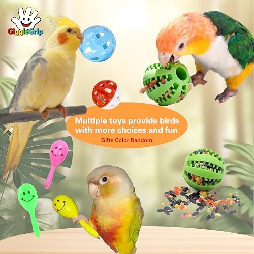 Bird Foraging Toys with Feeder Ball, Durable Plastic Parrot Training Puzzle & Interactive Treat Dispenser for Cockatiels, Conures, Parakeets, Budgies(Pack 3)