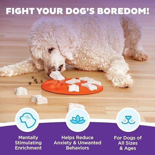 Outward Hound Nina Ottosson Dog Smart Dog Toy Treat Puzzle, Enrichment, 11"