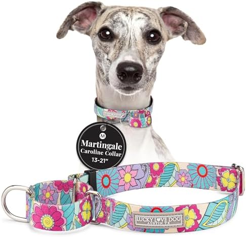 Lucky Love Dog Martingale Collar for Medium Dogs No Slip – Caroline, Medium