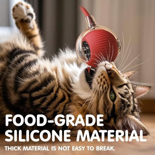 Rocfish Durable Interactive Cat Toys for Indoor Cats (red, 01)