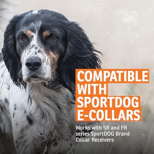 SportDOG Standard Contact Points | Kit Includes 2 Standard-Length 1/2 inch Contact Points and O-Ring, Compatible w/SR and FR series SportDOG Brand Collars