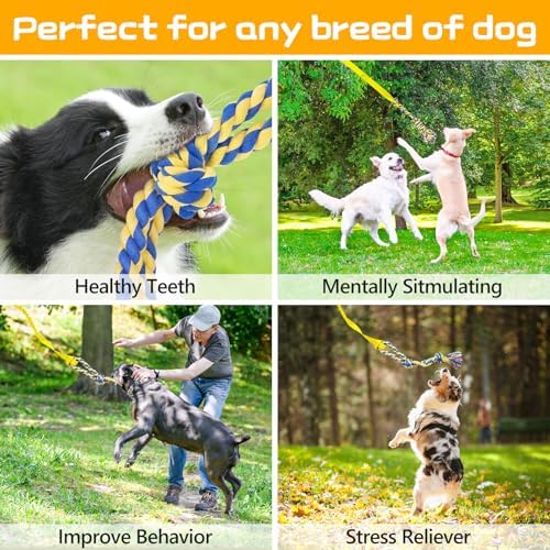 XiaZ Tug of War Dog Toy, Interactive Dogs Toy Bungee Hanging Tether with 2 Chew Rope Toys, Heavy Duty Puppy Outdoor Activity Aggressive Chewers Best Small to Large Boredom Exercise and Play (Yellow)