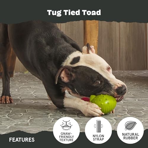 BarkBox Tug Tied Toad Dog Toy