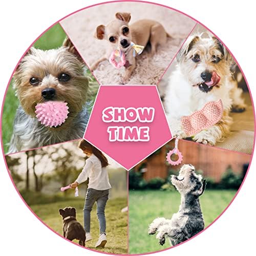 ABRRLO 6 Pack Puppy Teething Toys Cute Pink Puppy Chew Toys for Teething Small Breed Dog Chew Toy Interactive Pet Toy Set for Puppies to Keep Them Busy Soft Durable Small Breed Doggy Chewing Ball