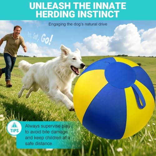 Herding Ball for Dogs Large for Australian Shepherd, Blue-Yellow L