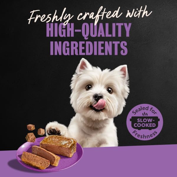 Cesar Classic Loaf in Sauce Wet Dog Food, Meaty Selects, 3.5 oz, 24 Count | Made in USA, Real beef or chicken #1 ingredient, no fillers or artificial flavors, slow-cooked, easy peel trays