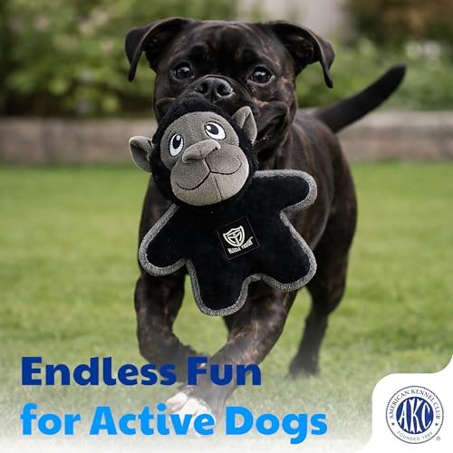American Kennel Club Plush Dog Toy with Squeaker for Moderate Chewers, Soft Stuffed Dog Toy for Tugging, Fetch & Interactive Play, Gentle on Teeth