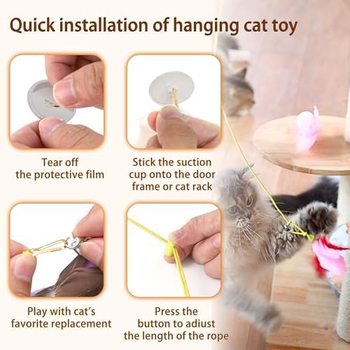 Cat Bird Toy for Indoor Cats Self Play