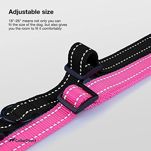 Reflective Dog Collar, Quick-Release Buckle (Black, 18-26 Inch)