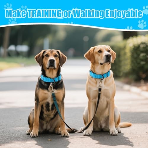 Martingale Dog Collar, Reflective No Pull with Buckle, Sky Blue, S