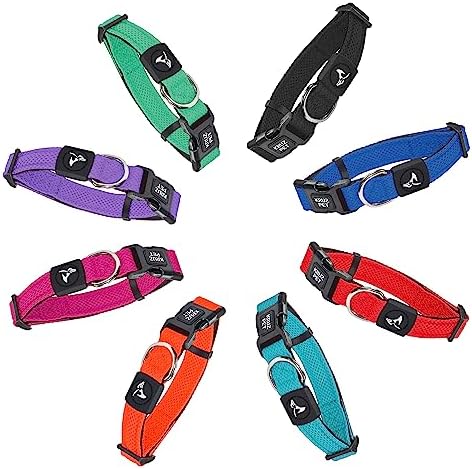 Dog Collar for Medium Dogs (Width- 3/4", Length - 17"-21.5") | Adjustable Padded Amethyst Dog Collar with Heavy Duty D-Ring | Soft Comfortable Fit for Medium Dogs | (Amethyst, Medium)