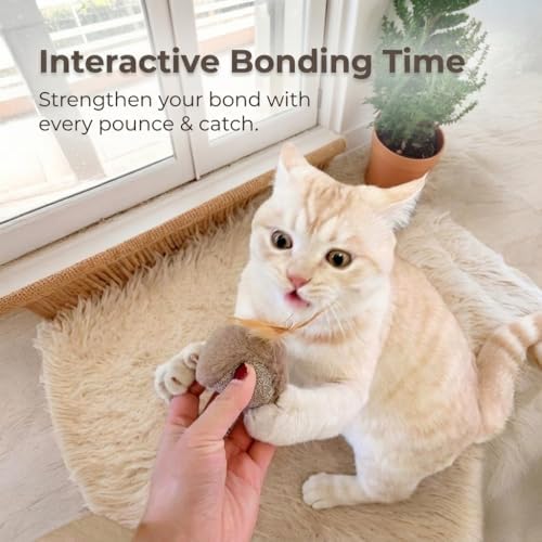 Catnip Silvervine Cat Toys, Owl Plush for Indoor Cats and Kittens, 4 Pack
