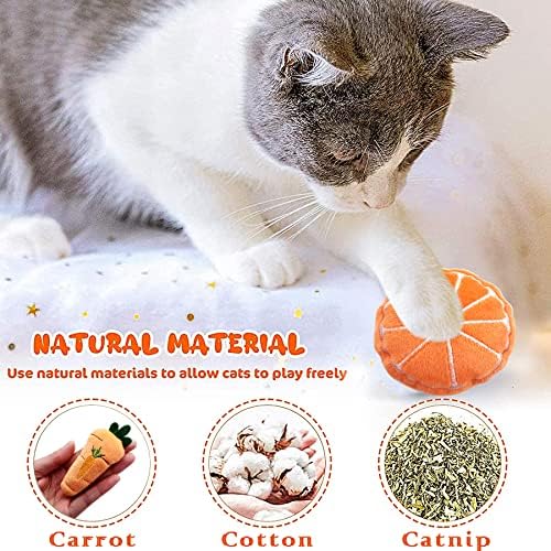 Mini Cat Catnip Toys for Indoor Cats 10 Pack