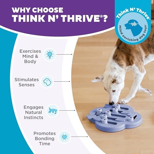 Outward Hound Nina Ottosson Dog Hide N' Slide Dog Toy Treat Puzzle, 11.6" | Level 2 Intermediate, 14 Hidden Treat Compartments, Slide & Swivel, Kibble or Treats, Easy Clean, Enrichment, Dogs & Puppies