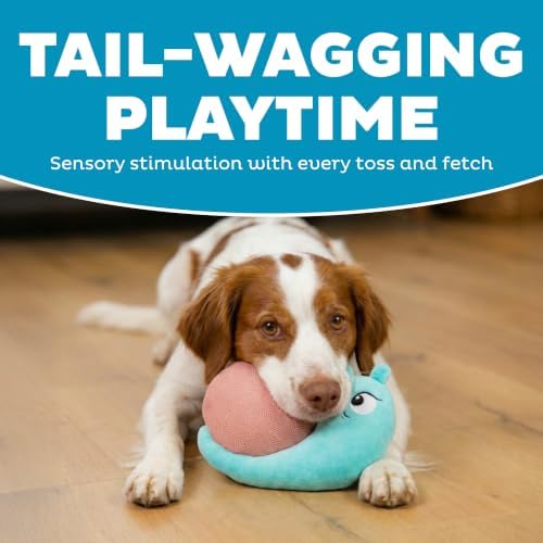 Outward Hound Coated Critterz Dog Toy – Plush & Molded Texture, Squeaky Fetch, Small & Medium Dogs, Snail, 8.7"