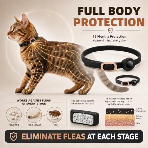 2 Pack Breakaway Cat Collars, Adjustable GPS Tracking Collars for Cats, Find My Tracking, Exquisite Buckle, Flexible Fit Design & Pet Safe, Anti-Lost Location Design for Kittens & Adult Cats