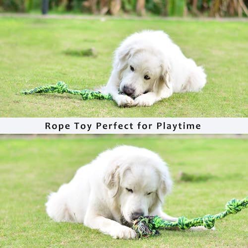 SHARLOVY Dog Toys for Large Dogs and Aggressive Chewers