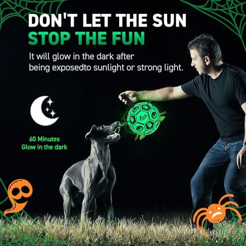 QDAN Glow in The Dark Halloween Dog Toys,Dog Balls with Straps