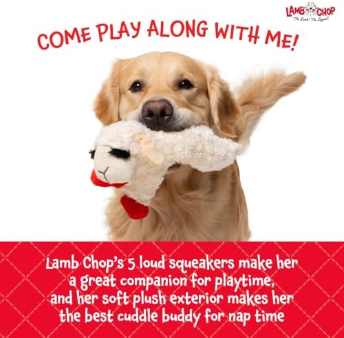 Multipet Lamb Chop Dog Plush Toy - Squeaky Toy for Small & Medium Dogs - Extra Soft Plush - Stuffed Animal for Cuddling & Playing (10", Cream, 5 Squeakers)