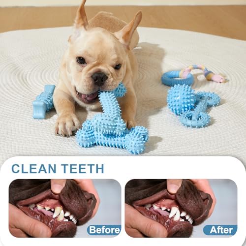 6 Pack Dog Chew Toys for Puppy Cute Dog Toys Puppy Dog Toys for Teething