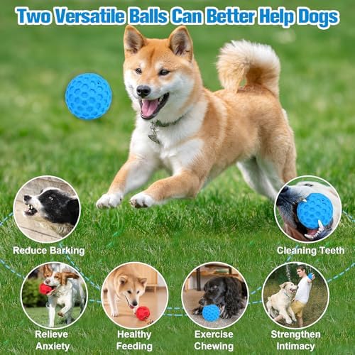 2 Pack Dog Toy Balls for Aggressive Chewers, Treat Ball and Squeaky Ball | Interactive Squeaky Dog Balls and Treat Dispensing Ball to Keep Them Busy, Chew Toys for Large Dogs, Enrichment Toy