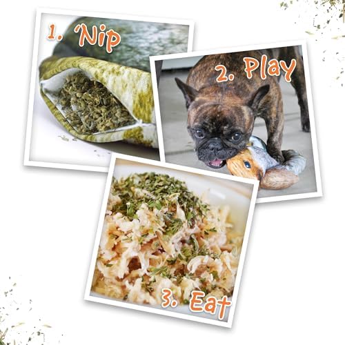 Doggijuana Squirrel & Juananip Bundle | Squeaky Refillable Plush Toy