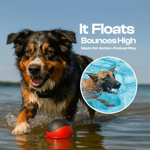 Squeaky Dog Toy – Durable Rubber Dog Ball for Medium & Large Dogs, Tough Interactive Fetch Toy for Chewers, Outdoor Training & Play Ball, Floating Water Play Gift.Red Black