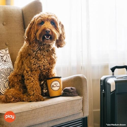 P.L.A.Y. Cute Plush Dog Toys - Coffee Shop Food Themed Durable Squeaker Chew Toy for Medium & Large Dogs - Machine Washable, Recycled Materials (Pup Cup Cafe Doggo's Java, Medium)