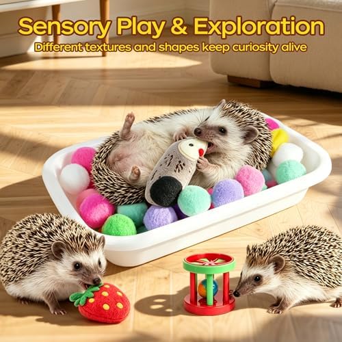 Hedgehog Toys & Accessories, Enrichment Toy Set with Dig Box & Balls
