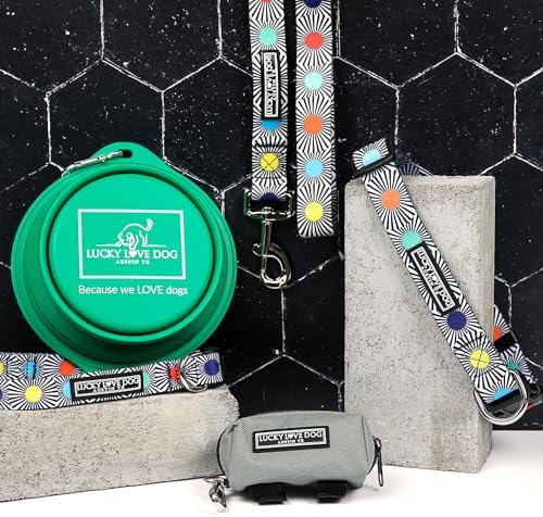 Lucky Love Dog Martingale Collar and Leash Set for Small Dogs – SOCO, Small