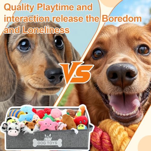 Zopeal 20 Pcs Dog Toy Set with Storage Box, Squeaky Toys, Crinkle No Stuffing Dog Ball & Tennis Balls, Interactive Chew & Fetch Toys for Small and Medium Puppy, Gift for Puppy Lovers