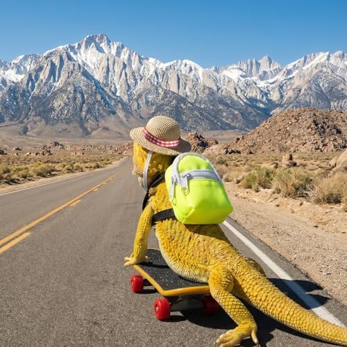 3 Pack Bearded Dragon Toy Set Includes a Bearded Dragon Backpack, an Adjustable hat, and a mini Skateboard Toy, for Small Reptile Pets Such as Lizards, Hamsters, Parrots, and Turtles.（Yellow）