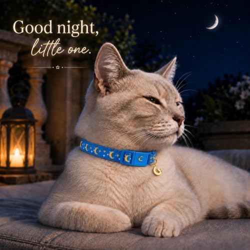 Breakaway Cat Collar with Bell for Kittens & Cats