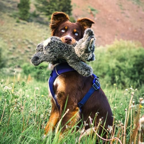 Fluff & Tuff Walter Wabbit Plush Dog Toy - 12"