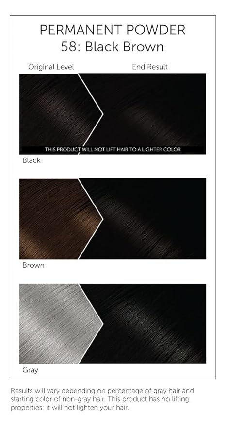 #58 Black Brown Bigen Permanent Powder - 12 Pack