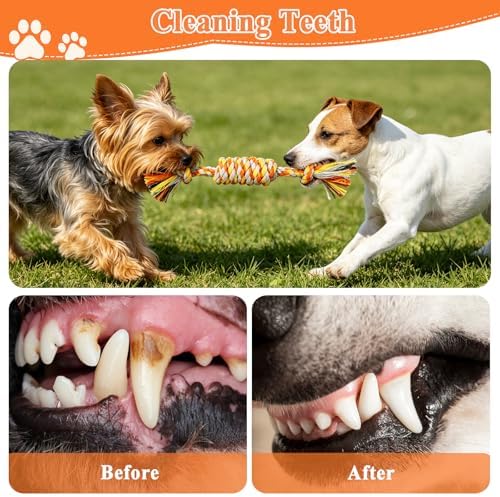 ASOCEA 5 Pack Cotton Rope Toys for Puppy Teething Small Dogs Orange