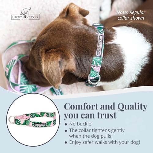 Lucky Love Dog Martingale Collar for Small Dogs No Slip – Laguna, Small